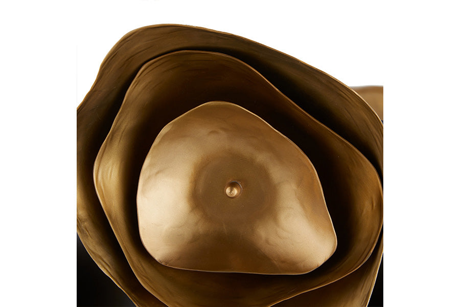 Arteriors Home GAIA 6-Light Chandelier